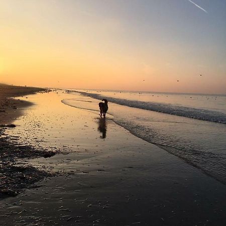 Apartament Au Gre Du Vent Koksijde Zewnętrze zdjęcie