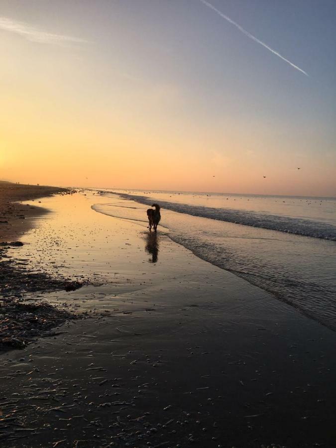 Apartament Au Gre Du Vent Koksijde Zewnętrze zdjęcie